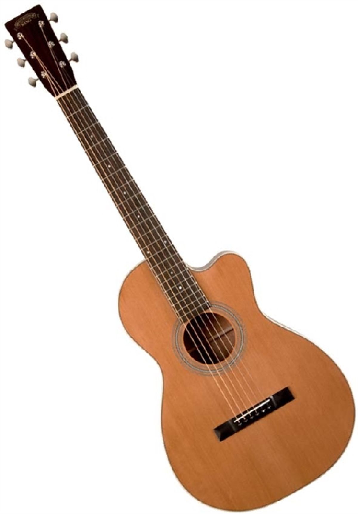 Recording King RP1-16C Acoustique Folk