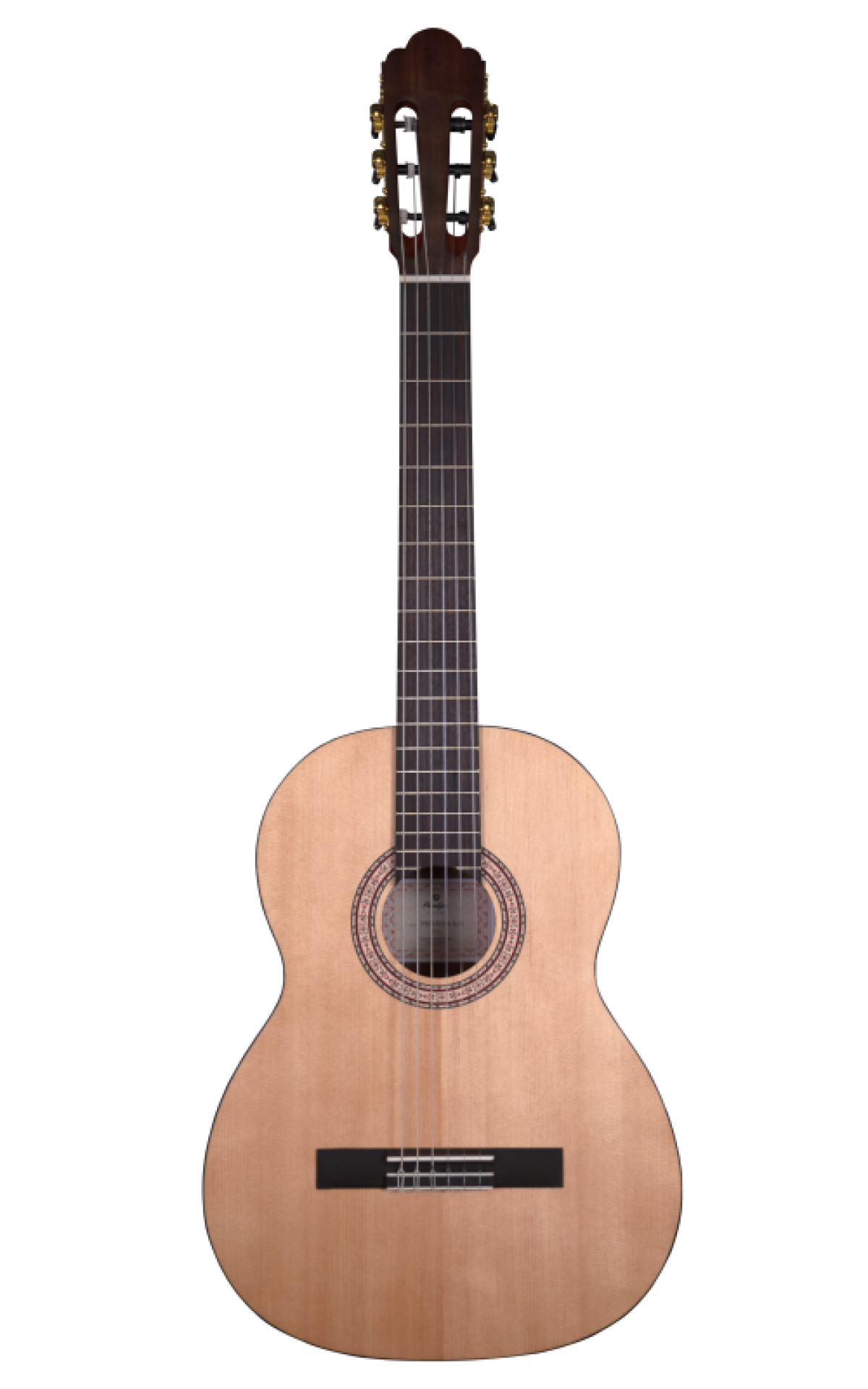 Prodipe Primera 4/4  4/4 Gaucher