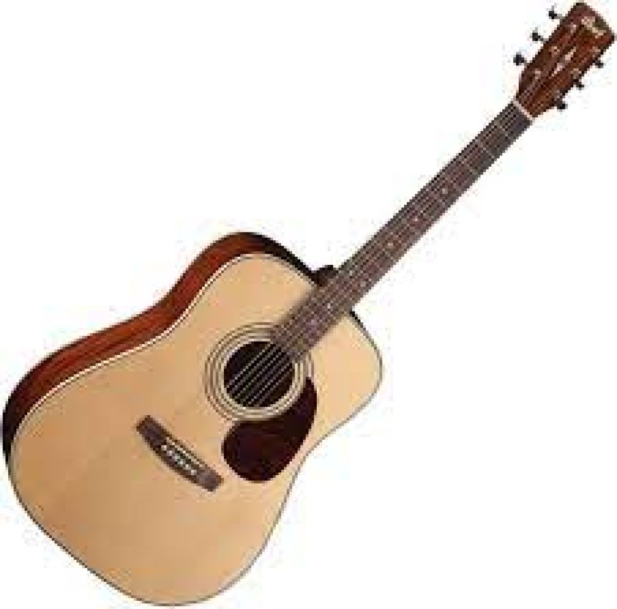 Cort Earth 70 OP Acoustique Dreadnought Droitier