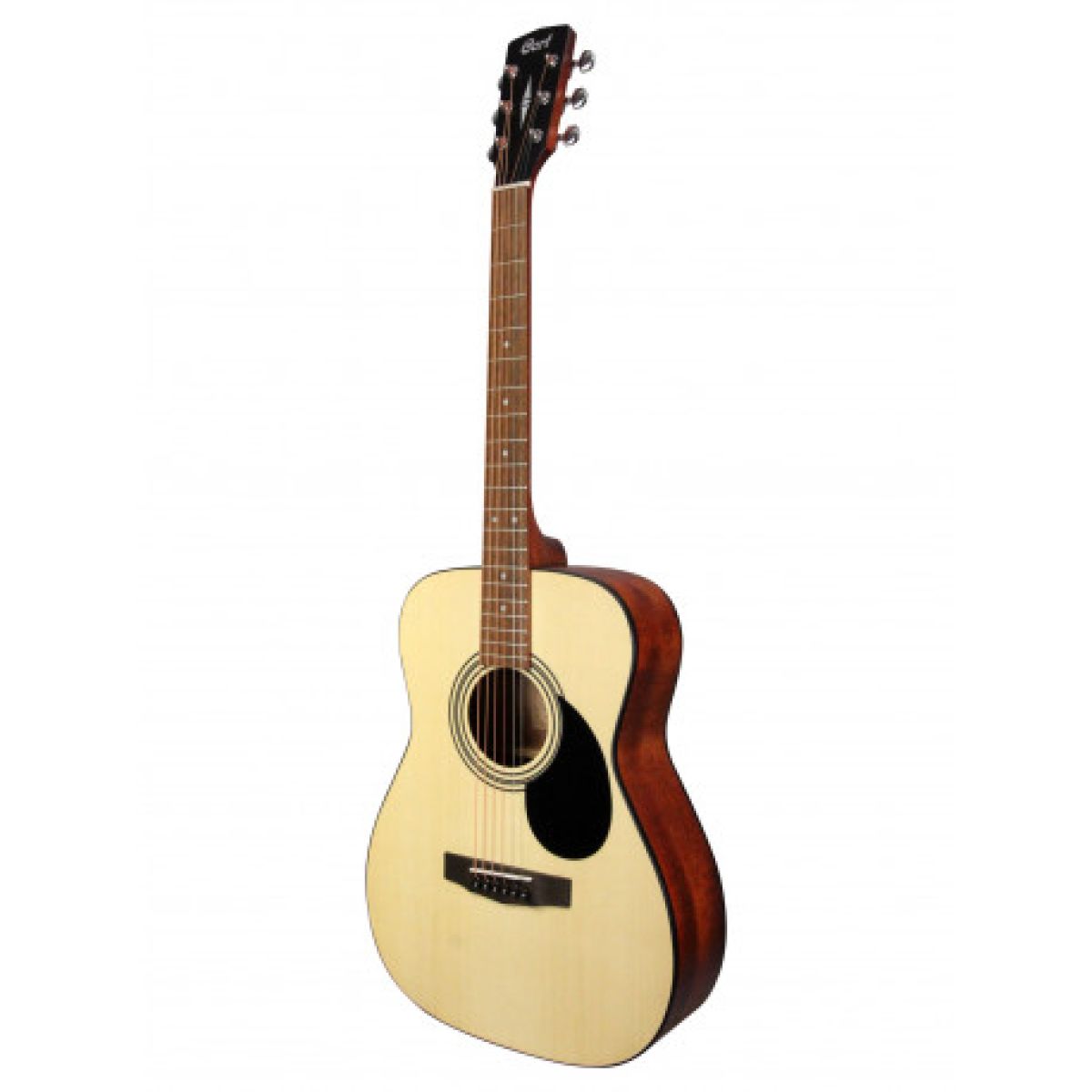 Cort AF510 M OP Acoustique  Droitier