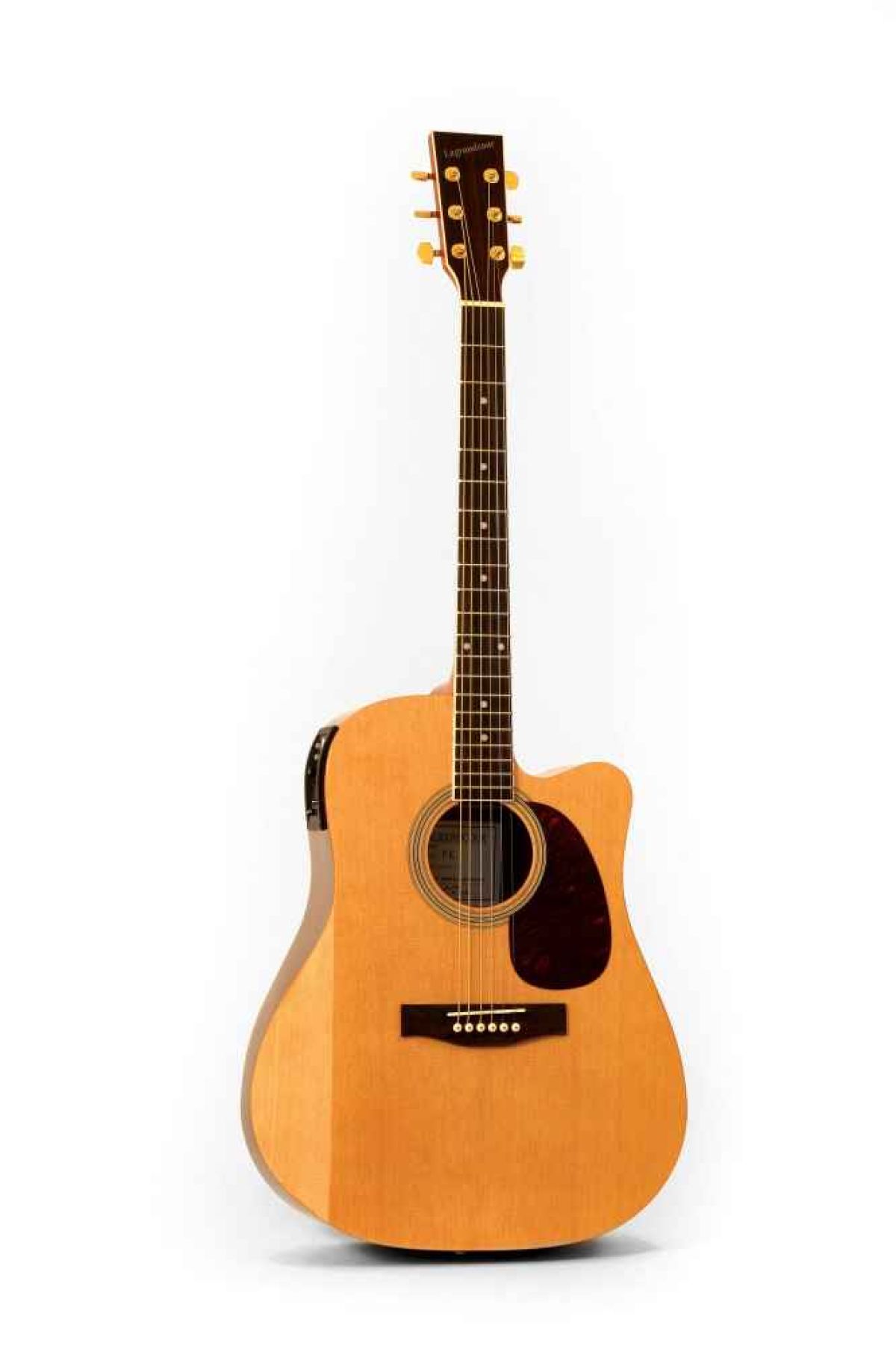 H.Lagrandcour AX21 Electro-acoustique  Droitier