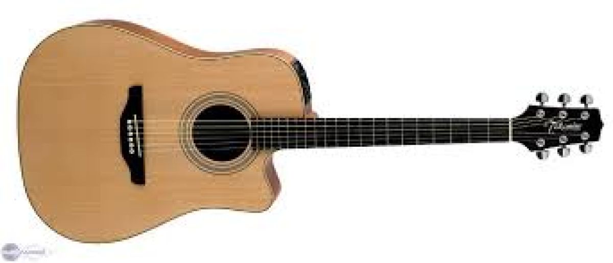 Takamine EGS 330 SC Electro-acoustique Dreadnought Droitier