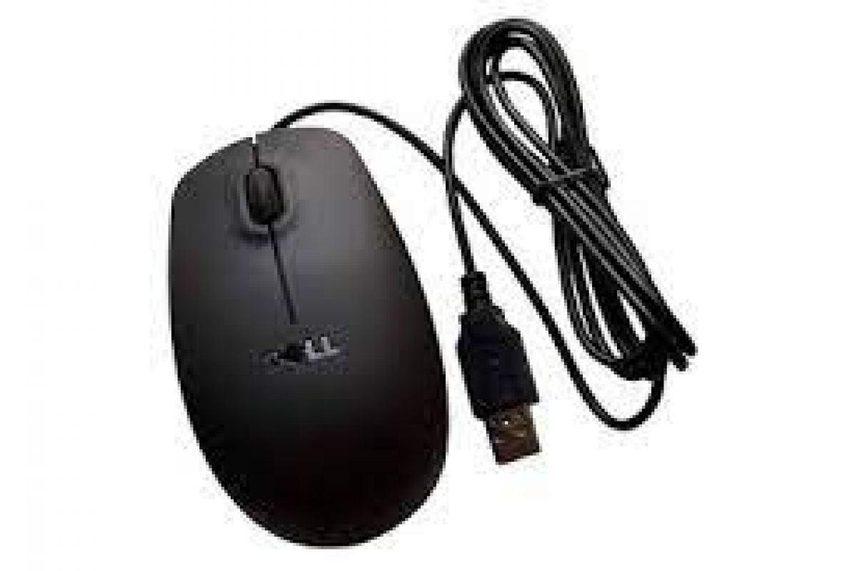 Dell MS111P Souris