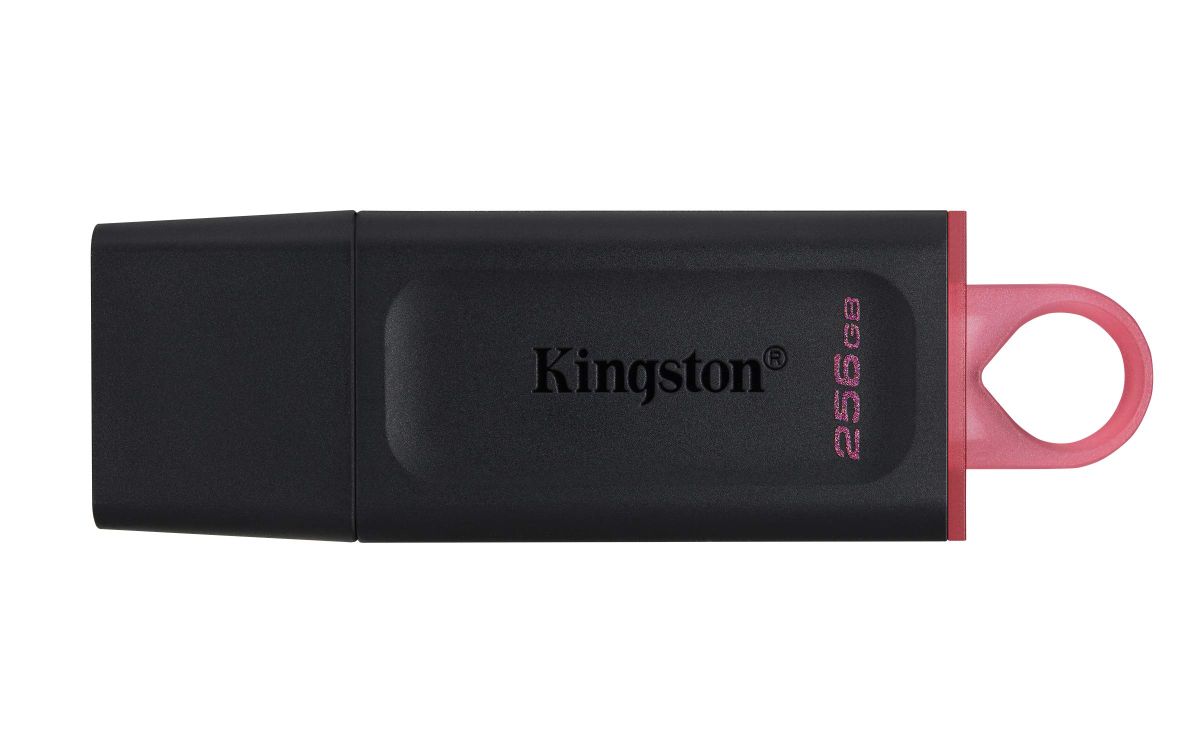 Kingston 256 GB clé USB noir