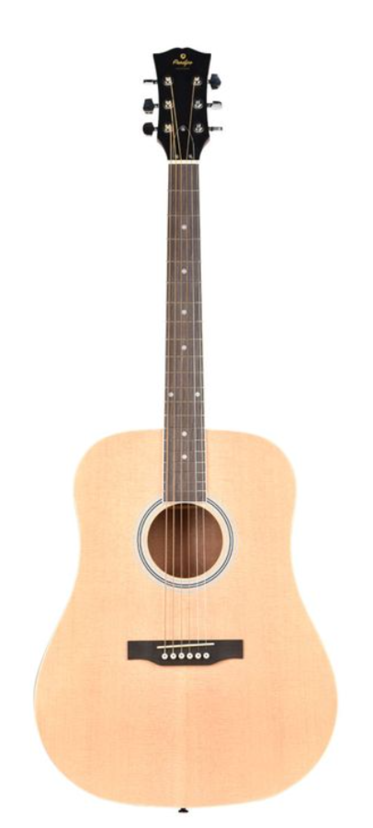 Prodipe SD25 Acoustique Folk Droitier