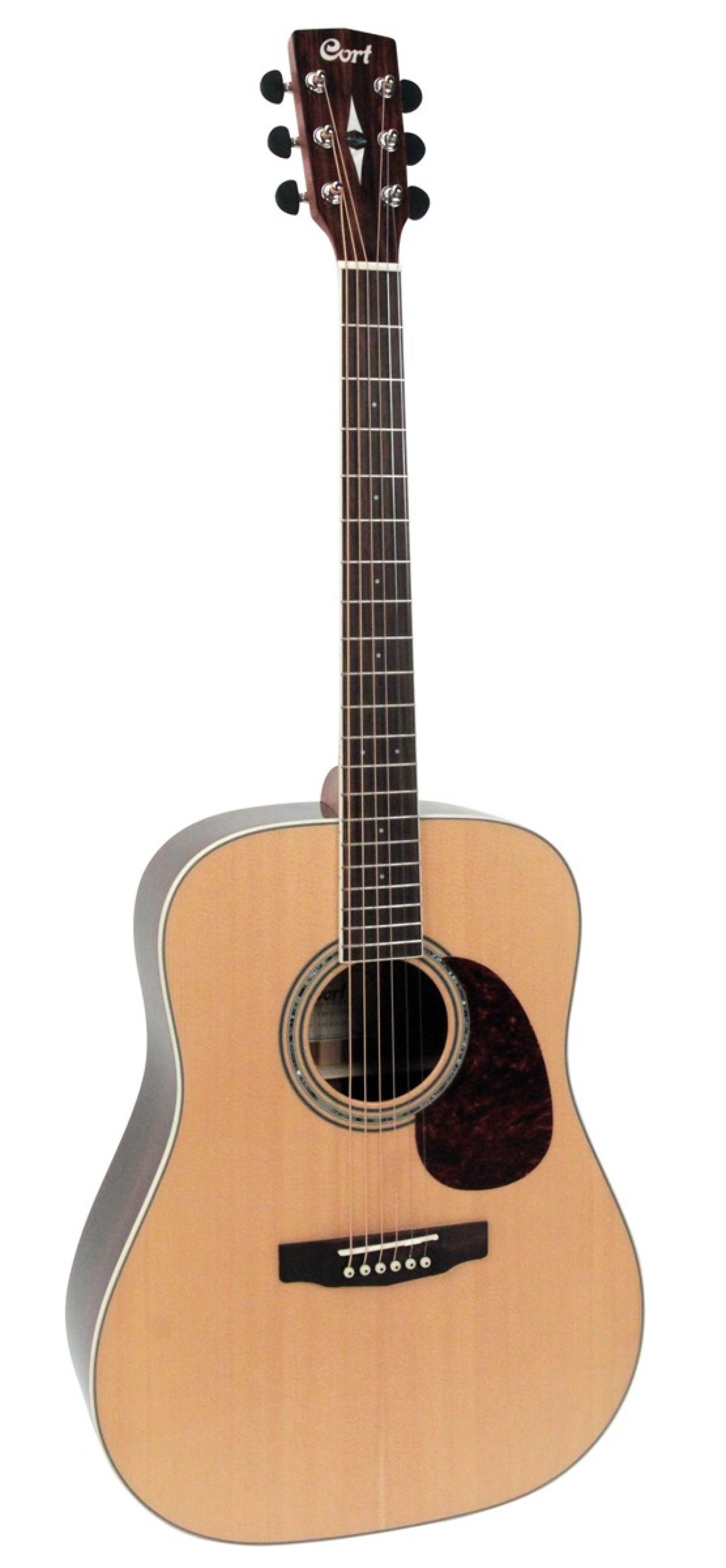 Cort Earth 100R