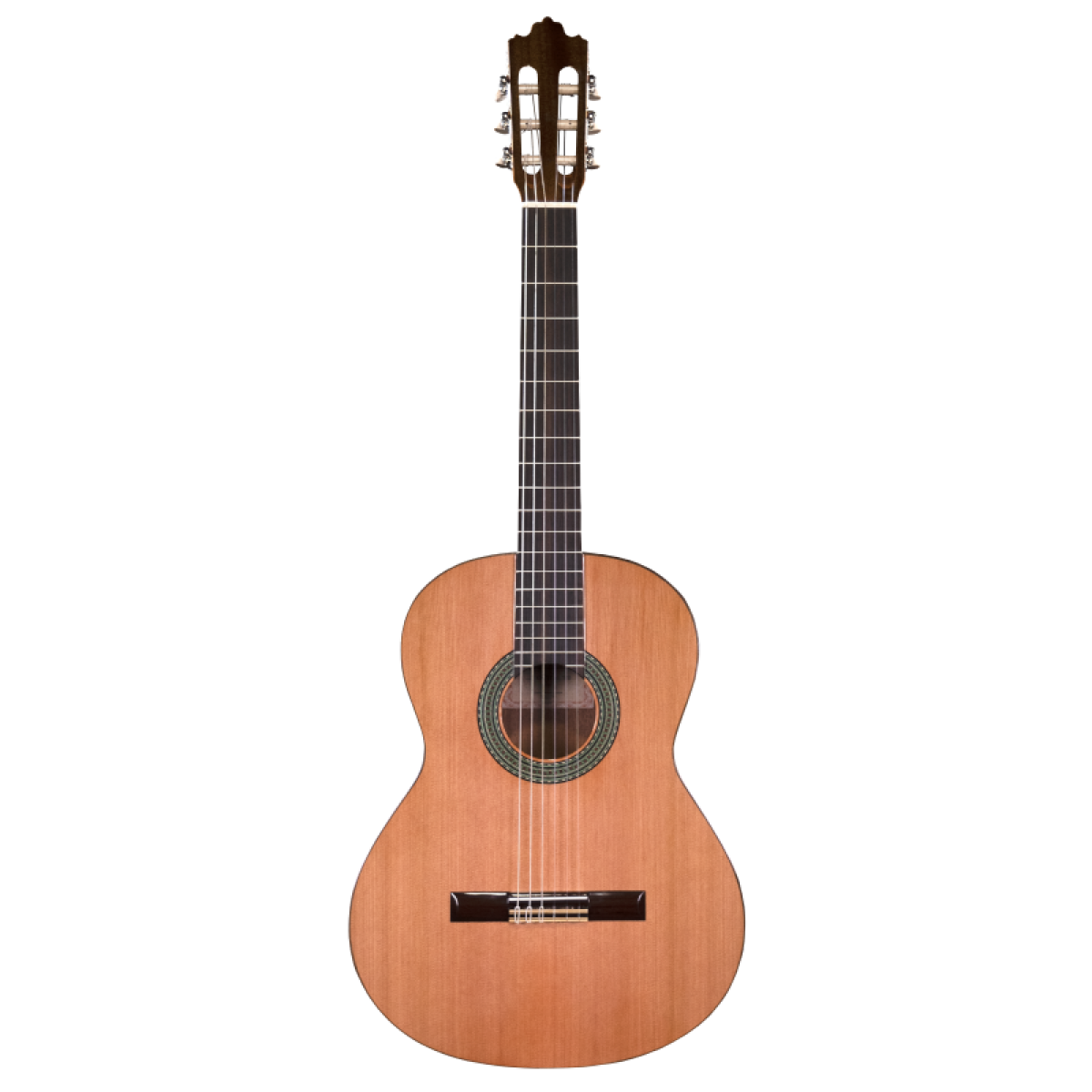 Prodipe Recital 300 Marron 4/4 Droitier