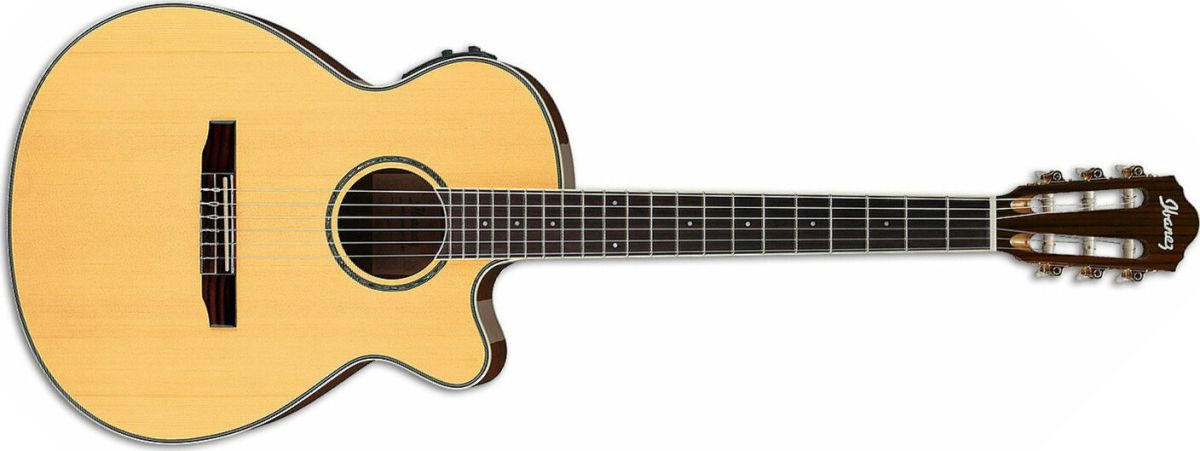 Ibanez AEG10NII Electro-acoustique  Droitier