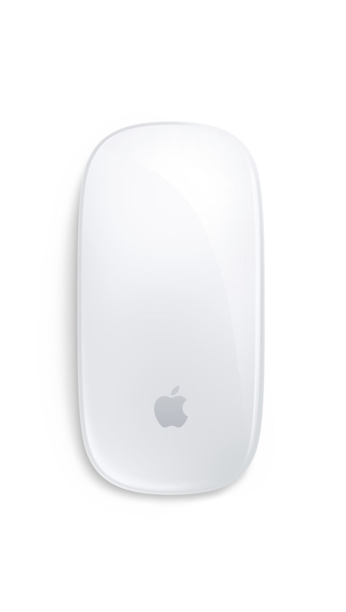 Apple Magic Mouse 1 Souris Blanc A1296