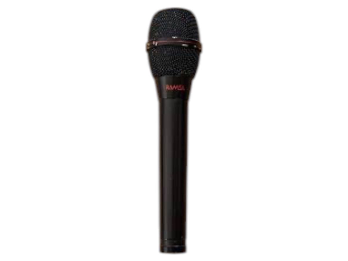 Panasonic Ramsa P40