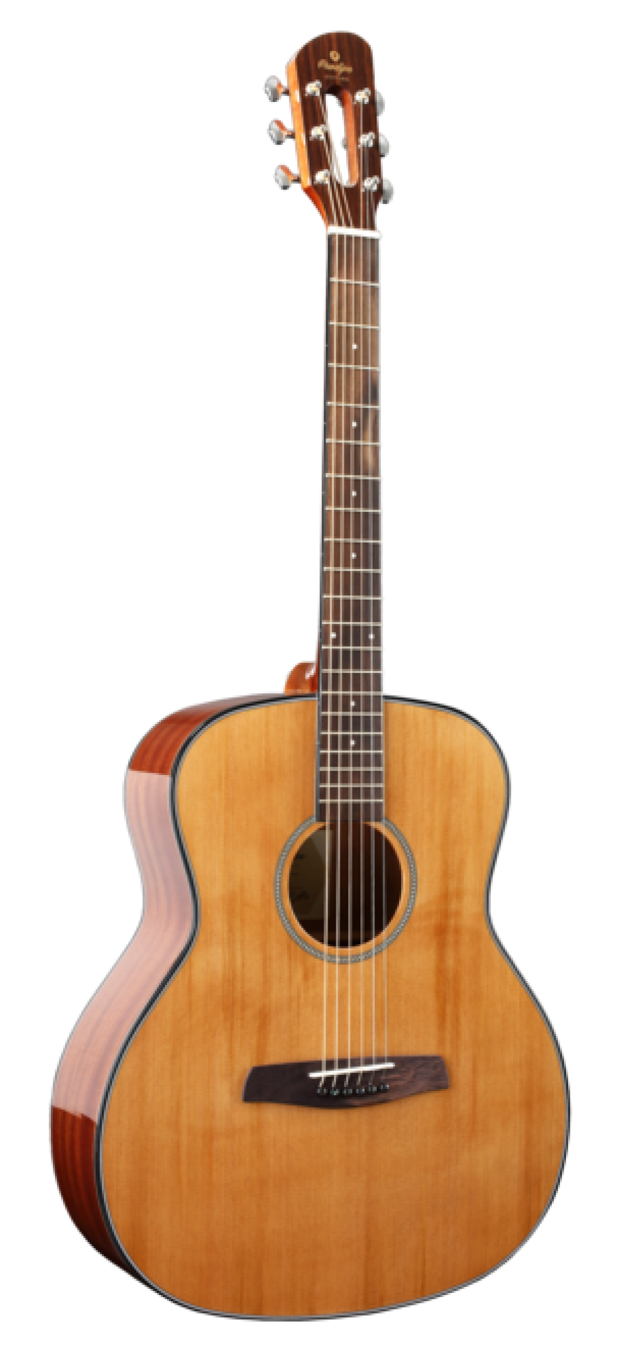 Prodipe SGA200 Acoustique Folk Droitier