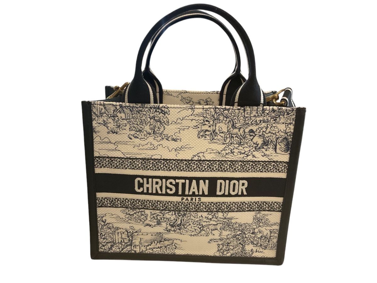 Dior Book Tote small Broderie Zodiac
