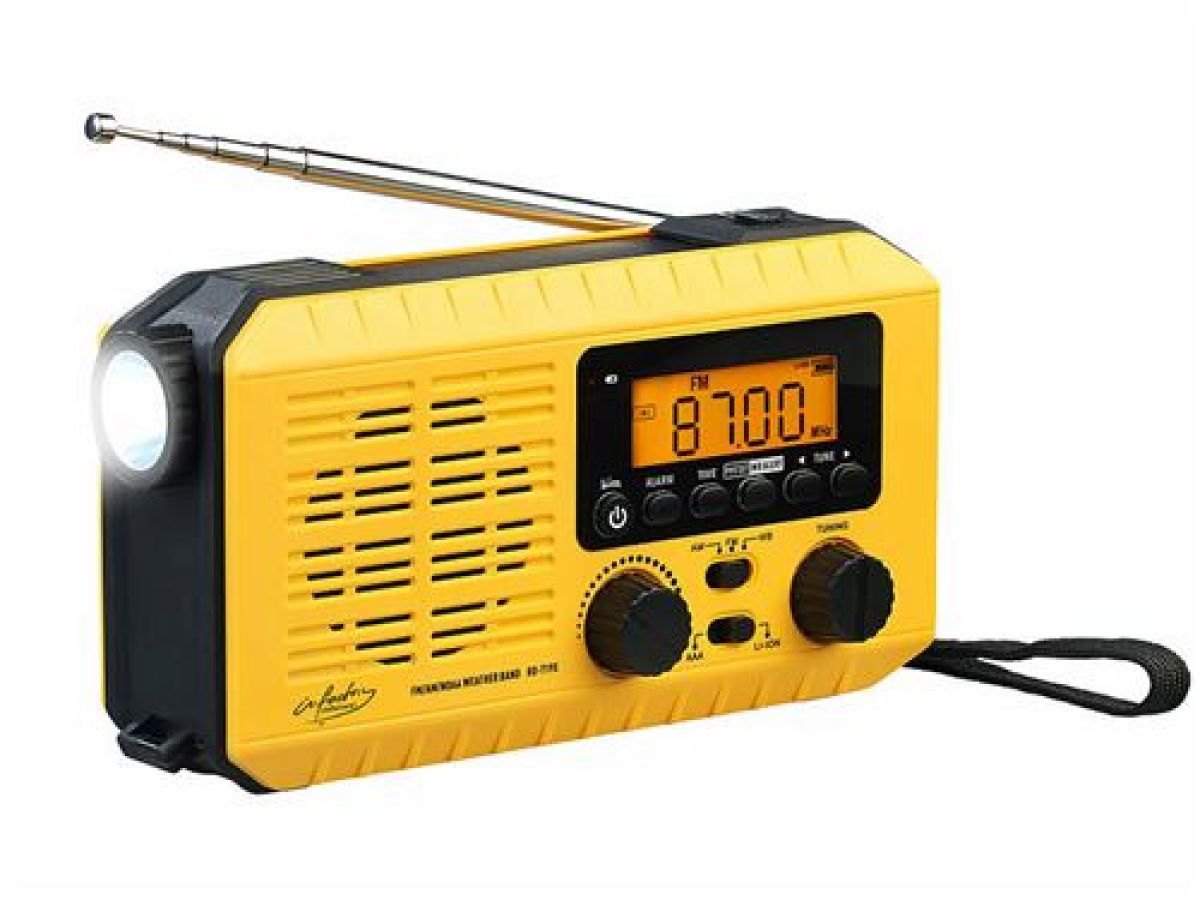 Infactory 182744 Radio Portable